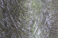 Gilling West fibreglass roof work